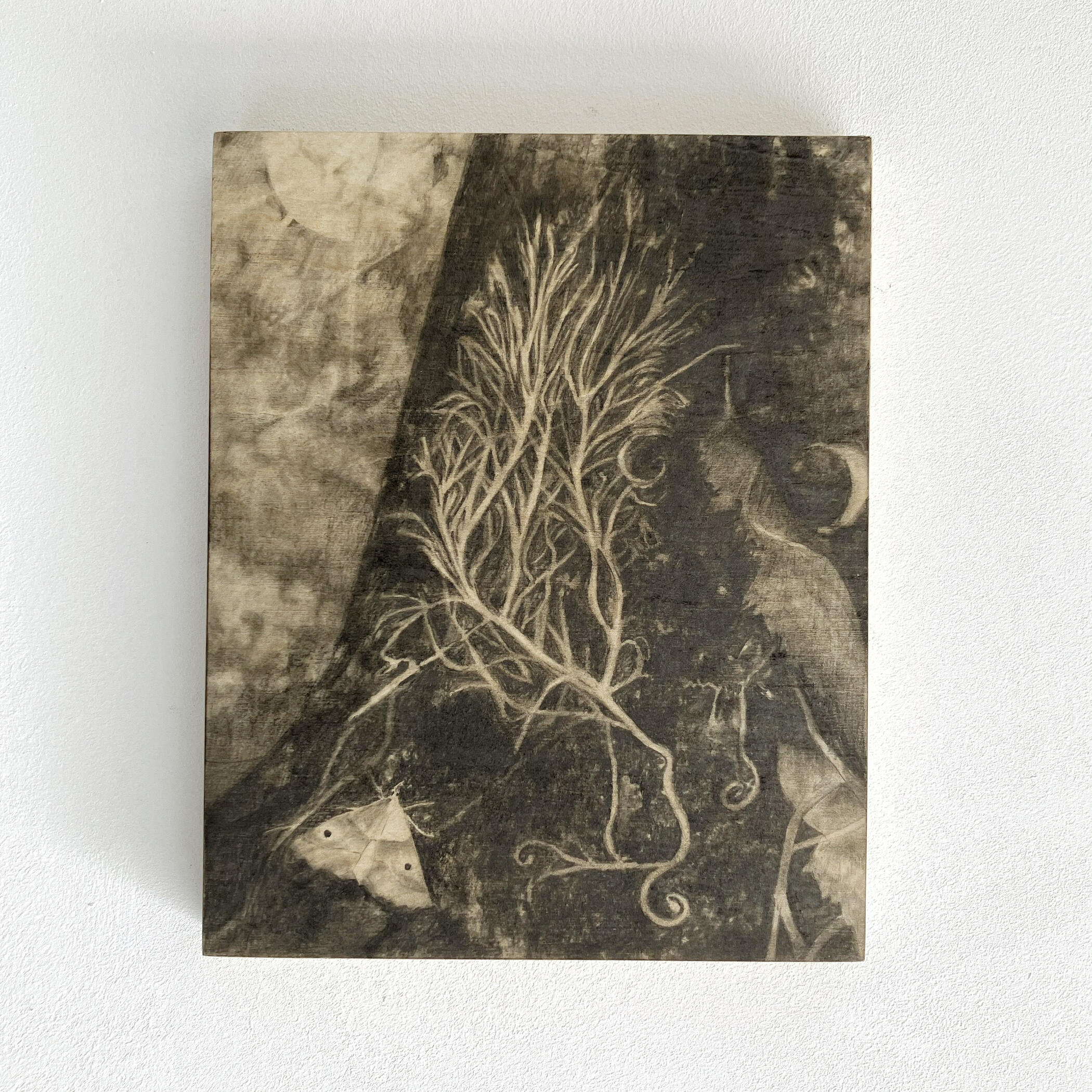 Untitled Untitled